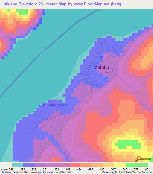 Inkiene,Congo (Kinshasa) Elevation Map
