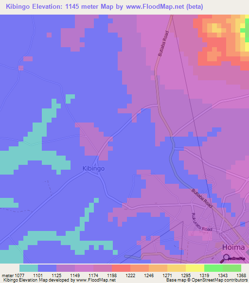 Kibingo,Uganda Elevation Map