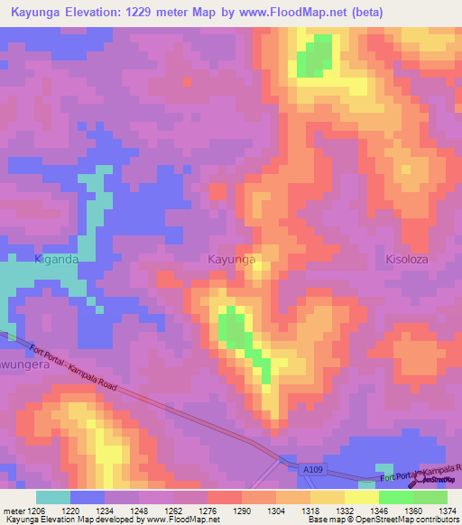Kayunga,Uganda Elevation Map