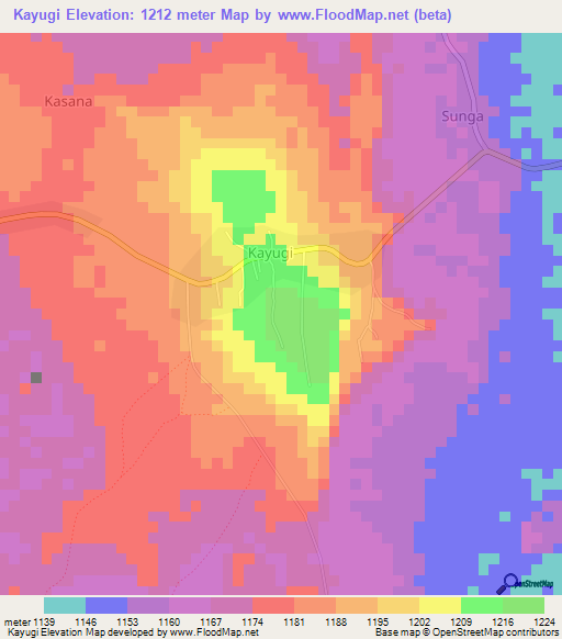 Kayugi,Uganda Elevation Map