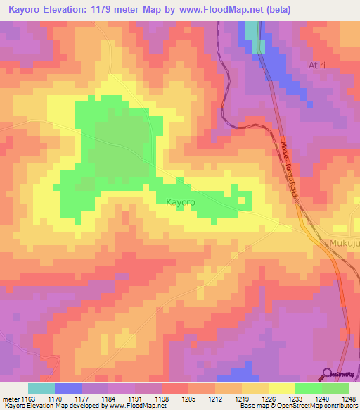 Kayoro,Uganda Elevation Map