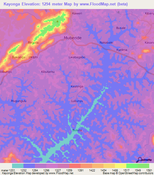 Kayonga,Uganda Elevation Map