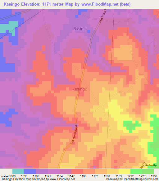 Kasingo,Uganda Elevation Map