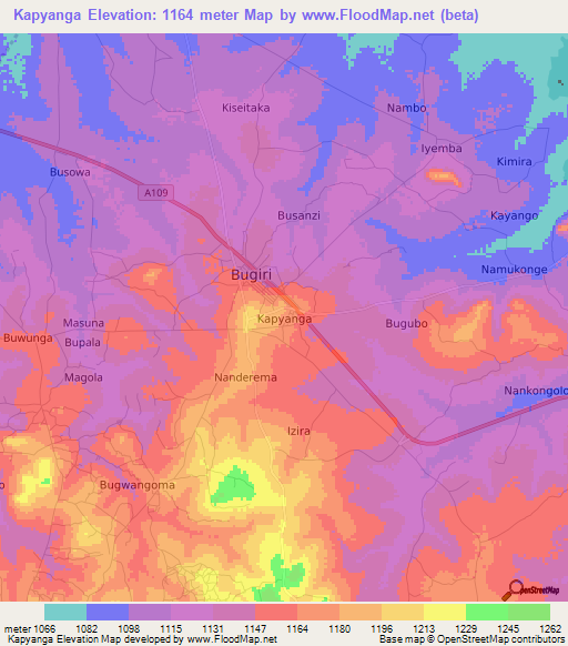 Kapyanga,Uganda Elevation Map