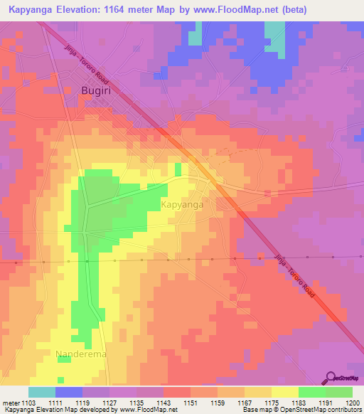 Kapyanga,Uganda Elevation Map
