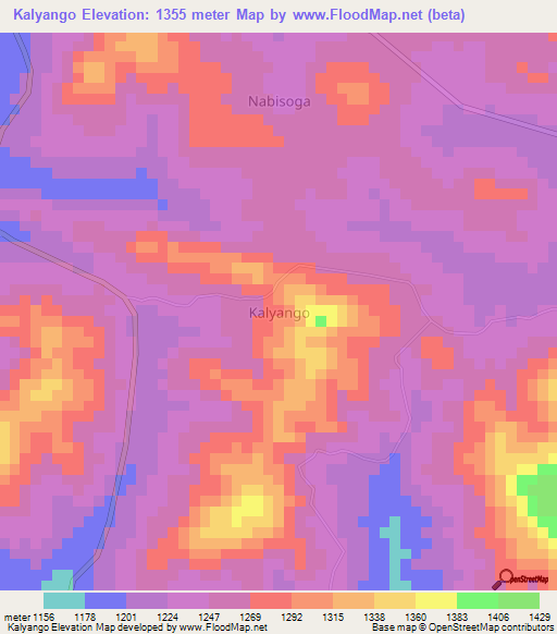 Kalyango,Uganda Elevation Map