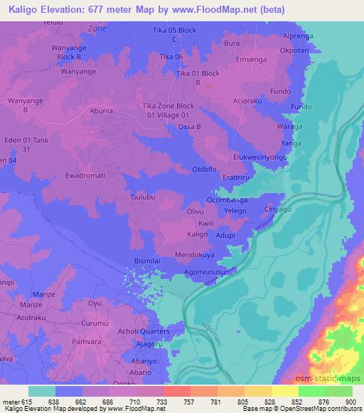 Kaligo,Uganda Elevation Map