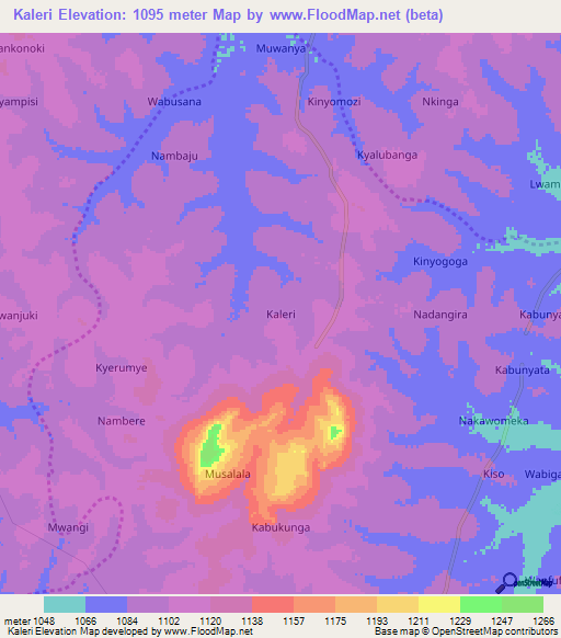 Kaleri,Uganda Elevation Map