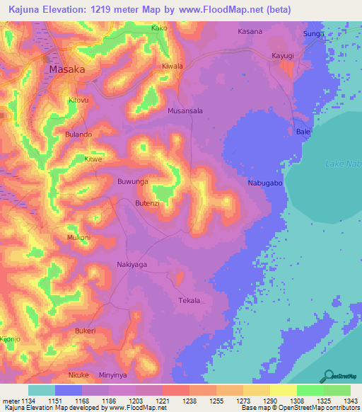 Kajuna,Uganda Elevation Map