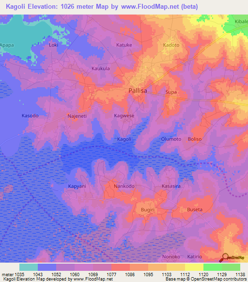 Kagoli,Uganda Elevation Map