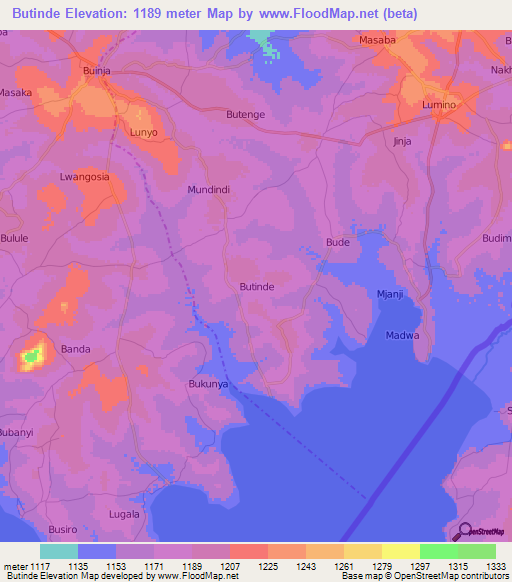 Butinde,Uganda Elevation Map