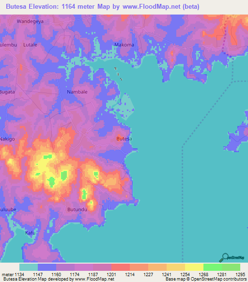 Butesa,Uganda Elevation Map