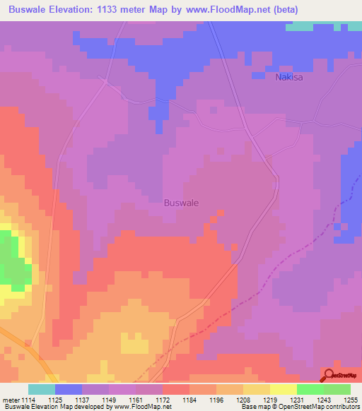 Buswale,Uganda Elevation Map