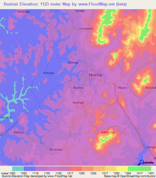 Businsi,Uganda Elevation Map