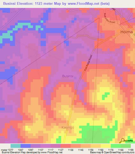Businsi,Uganda Elevation Map