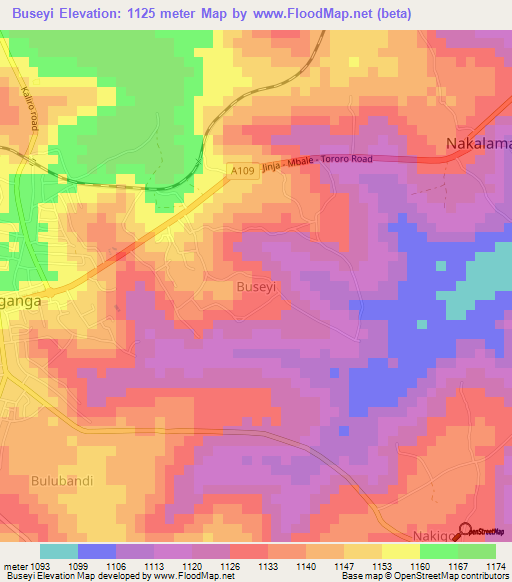 Buseyi,Uganda Elevation Map