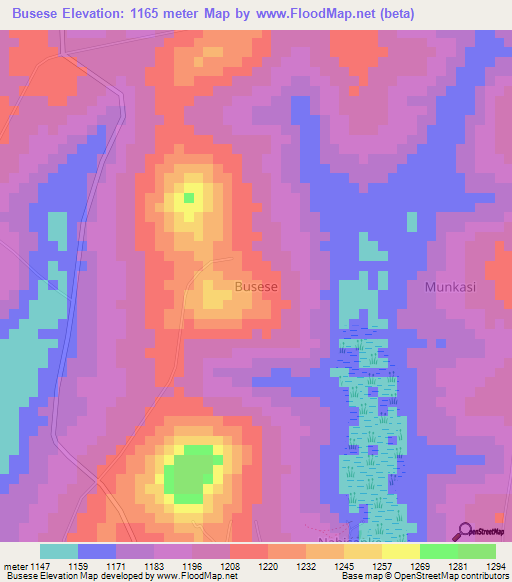 Busese,Uganda Elevation Map