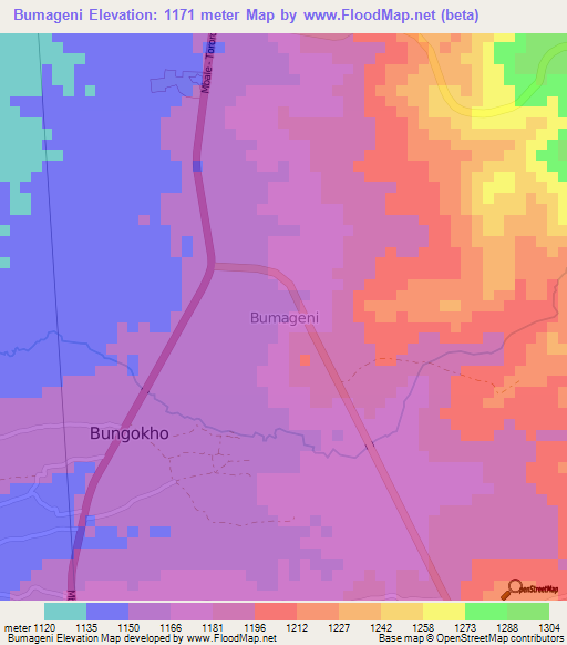 Bumageni,Uganda Elevation Map