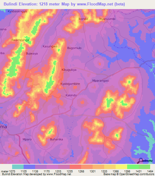 Bulindi,Uganda Elevation Map