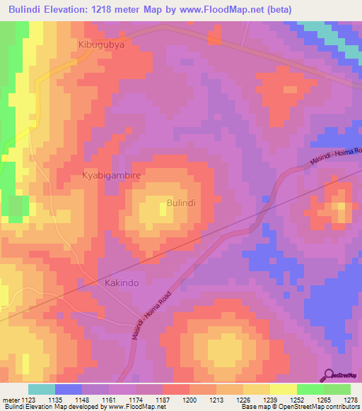 Bulindi,Uganda Elevation Map