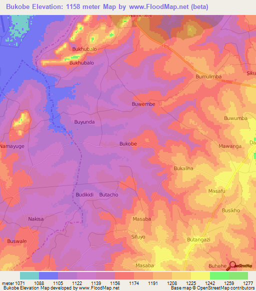 Bukobe,Uganda Elevation Map