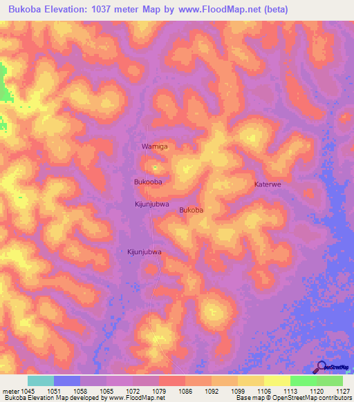 Bukoba,Uganda Elevation Map