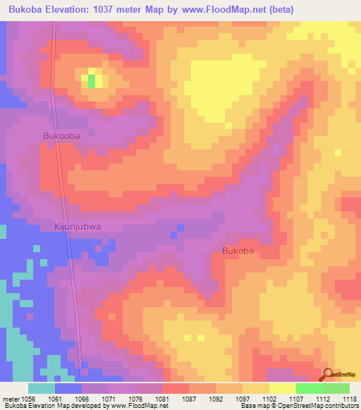Bukoba,Uganda Elevation Map
