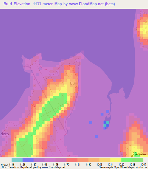 Buiri,Uganda Elevation Map
