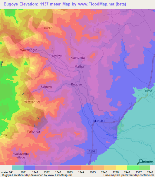 Bugoye,Uganda Elevation Map