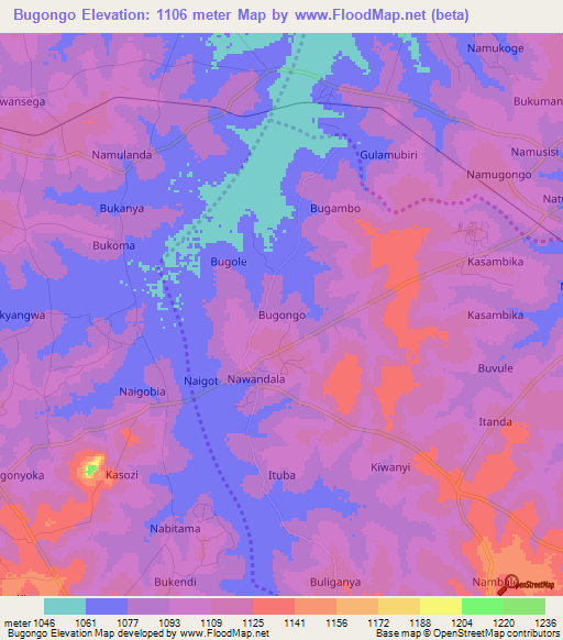 Bugongo,Uganda Elevation Map