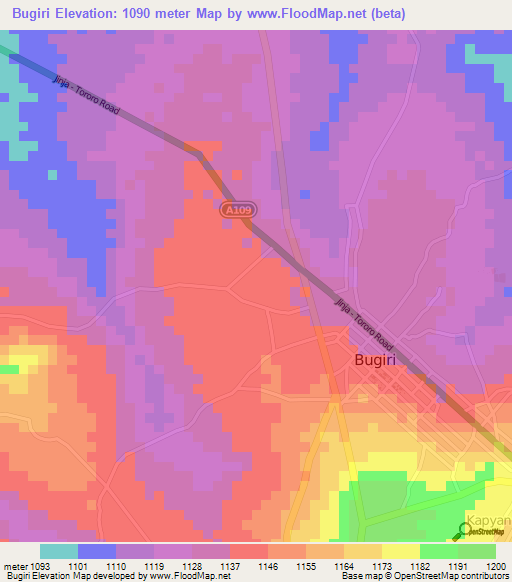 Bugiri,Uganda Elevation Map