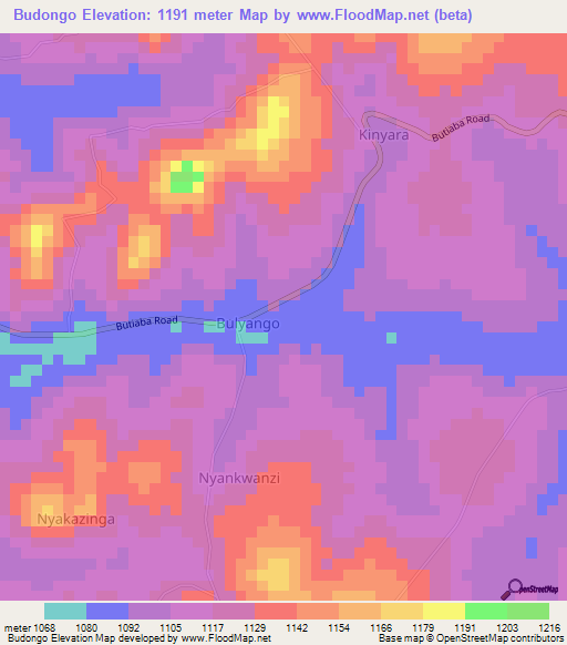 Budongo,Uganda Elevation Map
