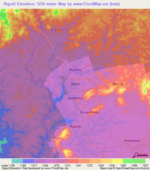 Bigodi,Uganda Elevation Map