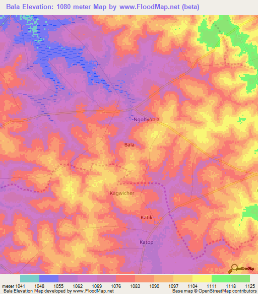 Bala,Uganda Elevation Map