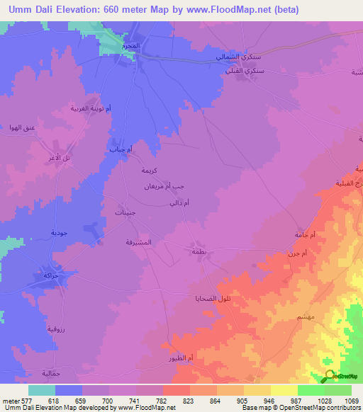 Umm Dali,Syria Elevation Map