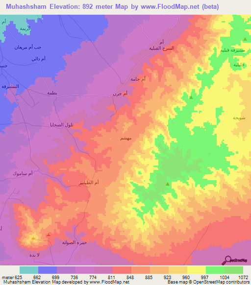Muhashsham,Syria Elevation Map