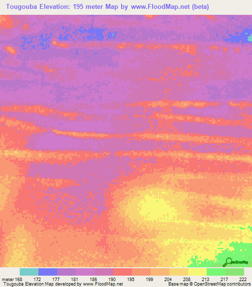 Tougouba,Mauritania Elevation Map
