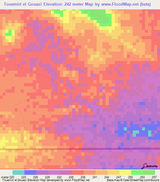 Touemirt el Gouazi,Mauritania Elevation Map