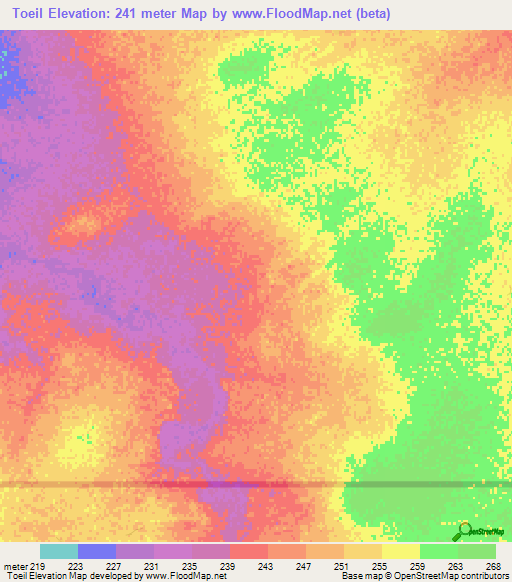 Toeil,Mauritania Elevation Map