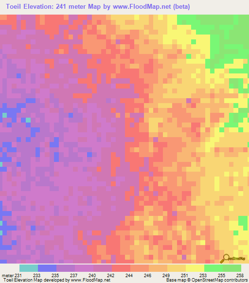 Toeil,Mauritania Elevation Map
