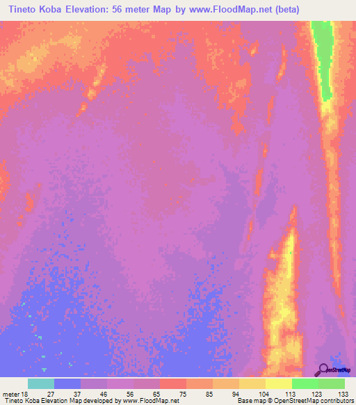 Tineto Koba,Mauritania Elevation Map
