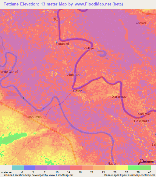 Tettiane,Mauritania Elevation Map