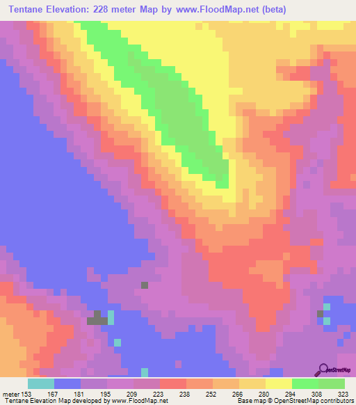 Tentane,Mauritania Elevation Map