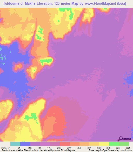 Teidouma el Makha,Mauritania Elevation Map
