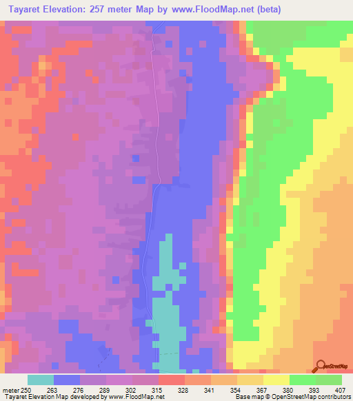 Tayaret,Mauritania Elevation Map