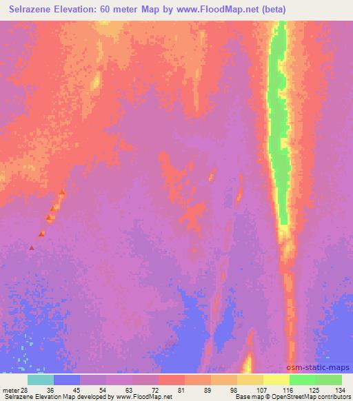 Selrazene,Mauritania Elevation Map