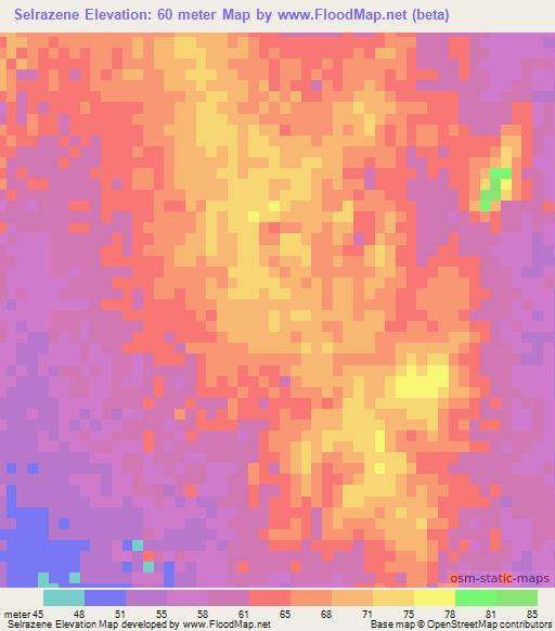Selrazene,Mauritania Elevation Map