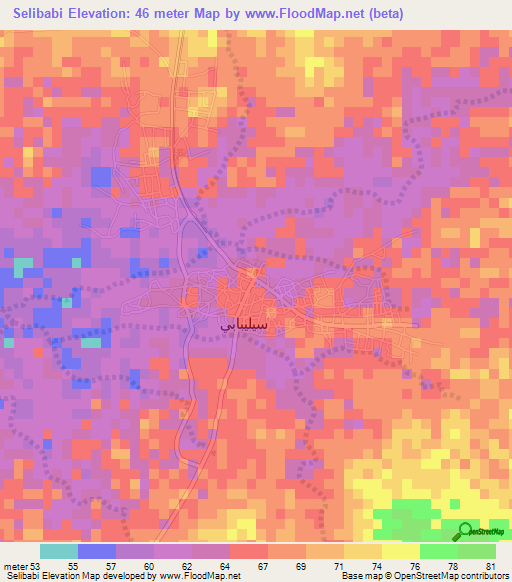 Selibabi,Mauritania Elevation Map