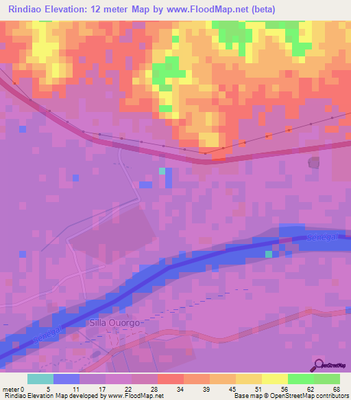 Rindiao,Mauritania Elevation Map
