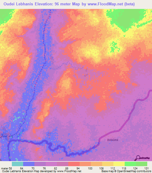 Oudei Lebhanis,Mauritania Elevation Map